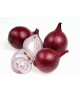 Oignons Rouge