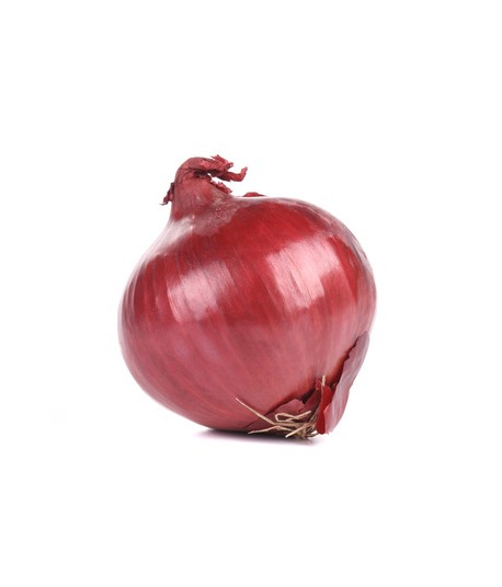 Oignons Rouge
