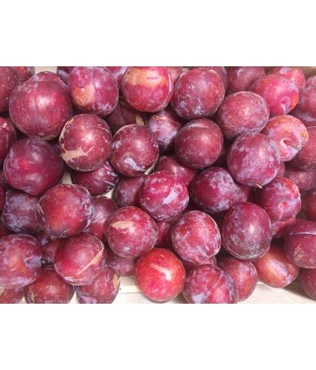 PRUNE GRENADINE