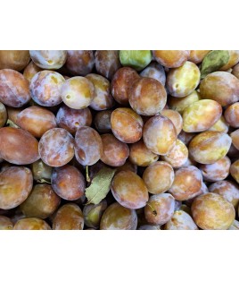 Prunes d'Ente 500 gr