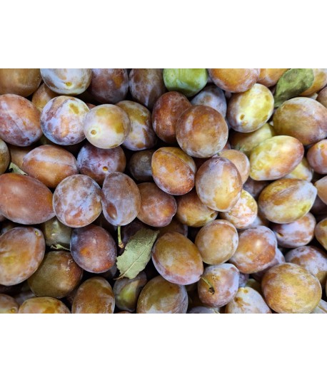 Prunes d'ente