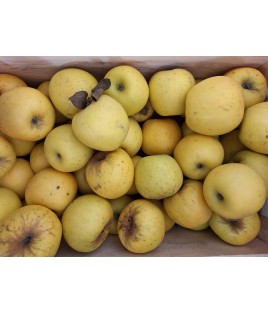 Pommes BIO OPAL
