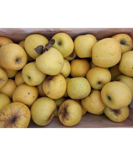 Pommes 