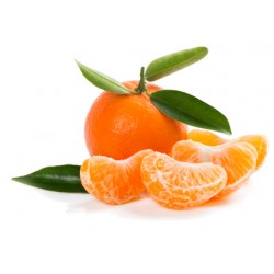 Clémentines des PO caisse 5 kg