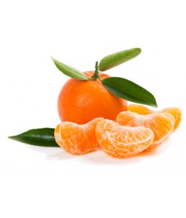 Clémentines des PO caisse 5 kg