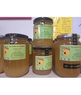 MIEL MONTAGNE 500 GR