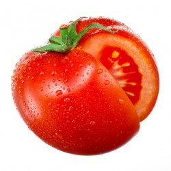 Tomate ronde 1 kg