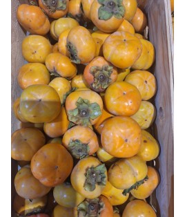 KAKI POMME