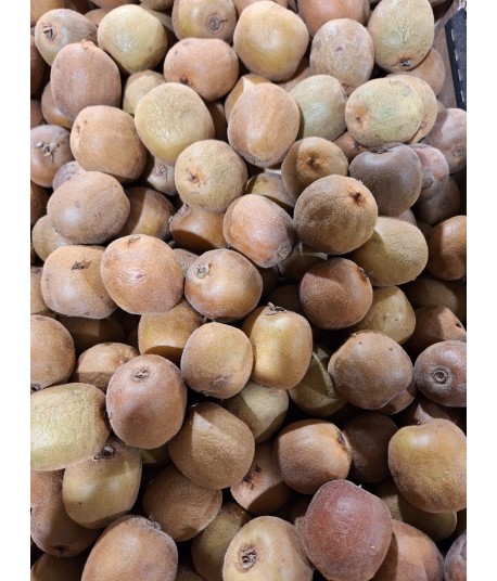 KIWIS JAUNES BIO