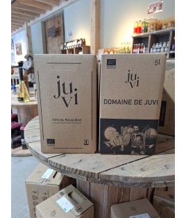 CUBI 5 LITRE ROUGE DOMAINE DE JUVI