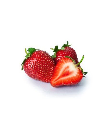 FRAISE PLEINE TERRE