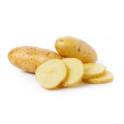 Pomme de terre NOUVELLE BEA GRENAILLE