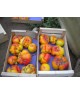 Tomates coeur de boeuf jaune PROMO 2 kg