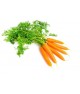Carottes