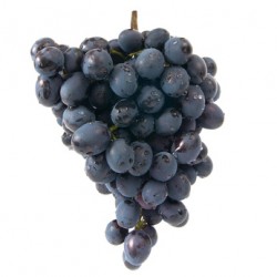 Raisin NOIR 500 gr