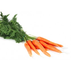 Carottes fanes