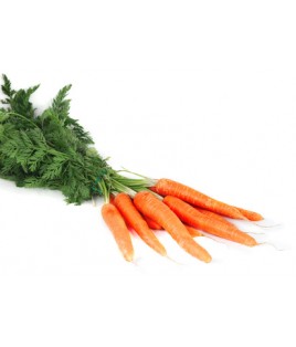 Carottes