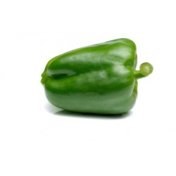 Poivron vert