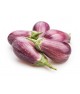 Aubergines Zébrée