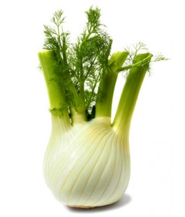 Fenouil BIO