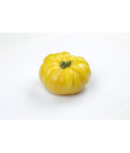 Tomates coeur de boeuf jaune PROMO