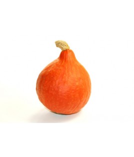 Potimarrons 