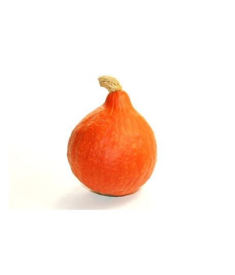 Potimarrons 