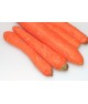 Carottes
