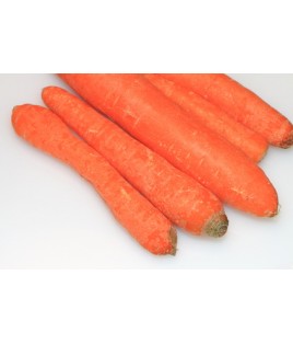 Carotte vrac BIO