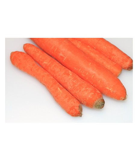 Carottes