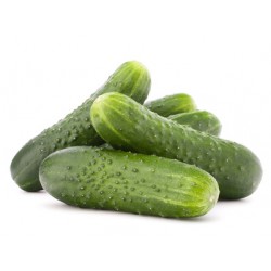 CONCOMBRE NOA 
