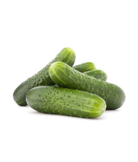 CONCOMBRE NOA
