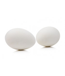 Oeufs blancs