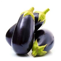 Aubergine noire