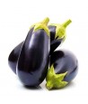 Aubergine noire
