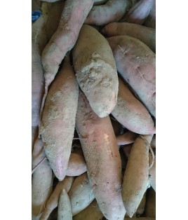 patate douce BIO