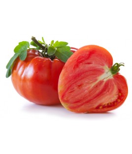 Tomates Cœur de bœuf