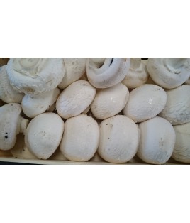 CHAMPIGNON D'OLETTE 300 GR