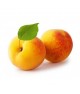 Abricots 