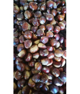 CHATAIGNE 500 gr