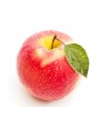 Pomme  GALA