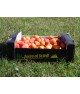 Abricots 