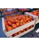 Abricots 