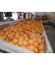 ABRICOTS