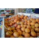 ABRICOTS