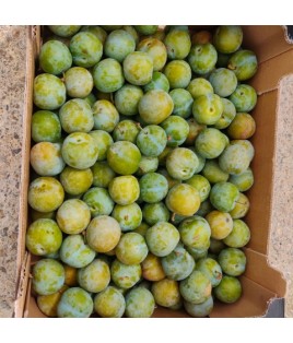 PRUNE REINE CLAUDE 500 gr