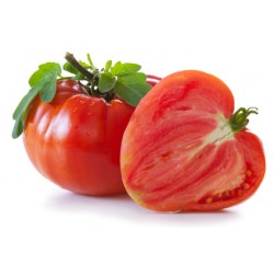 Tomates anciennes PROMO 2 kg