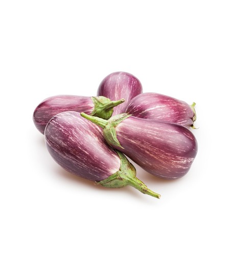 Aubergines Zébrée