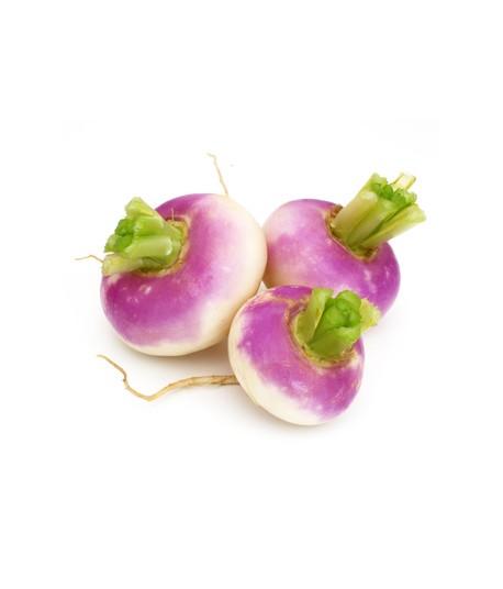 Navets